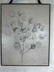 Botanical Sketches 28” x 22” By J. Wines Canvas Wood Border Frame