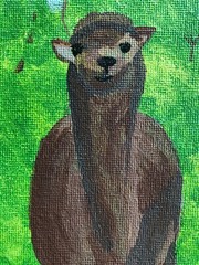 acrylic paintings original by artist on canvas Alpaca