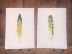 PR K Weldon 2 Modern Feather Watercolors 7”L 5”W Yellow Black White Signed