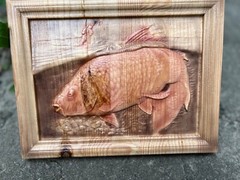 Carpfishing Fisherman Catches Carp Large Wood Carving Multicolor Picture Woodwor
