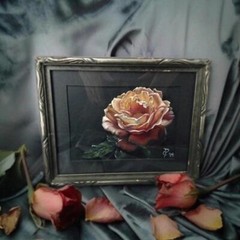 Original Oregon Rose Floral Art – Shabby Chic Framed Colored Pencil Painting