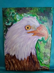 Bald Eagle-Maybe Thoughts Original Art 9×12 Signed CoA