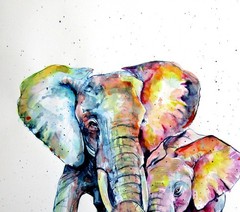 Elephants