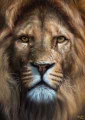 Original oil painting lion 30* 42 cm , OOAK , Hand painting