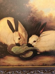Vintage P. Rolence Print On Canvas Himalayen Rabbits Eating Cabbage 30×26