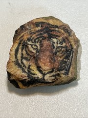 Majestic Tiger ~ Hand painted on a stone – pet rock Paper Weight African