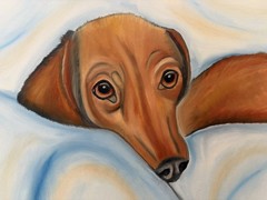 Original oil painting 11 x 14 inches cute dachshund dog