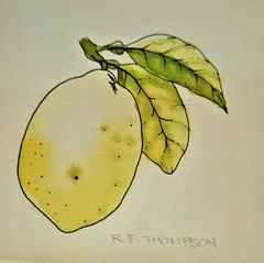water color lot floral anf fruit lemon flower butterfly