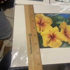 Donald K Hall „Plumaria, Hawaii“ – Watercolor Painting – Signed # 65/61 And #56