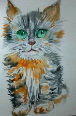 Original maine coon black gray orange kitty cat art painting,pet lover best gift