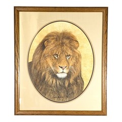 Rod Arbogast 1997 Original Large Watercolor Male African Lion Wildlife Magazine
