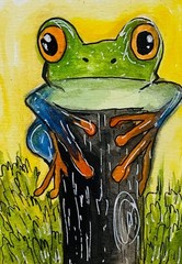 Tree Frog Watercolor Painting Original ACEO Art Wildlife Miniature Wildlife OOAK