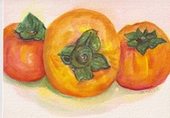 5×7 Three (3) Persimmons Original Watercolor Painting, Fruit – Free Shipping