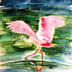 Heron