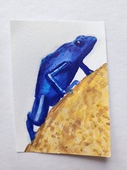 ACEO Original Abstract Acrylic Painting Blue Poisonous Dart Frog by Kiva