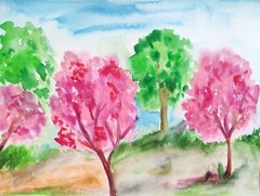 Set of 4 nature watercolor paintings