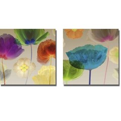 Poppy Panorama by Mertens 2-pc Gallery-Wrap Canvas Giclee Set (18 x 18 in Each)