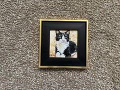 ORIGINAL OIL PAINTING TUXEDO CAT PORTRAIT SIGNED FRAMED 4×4