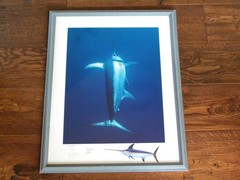 GUY HARVEY Broadbill 3/99 fish photograph SIGNED Venezuela ’98 Free USA Shipping