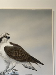 Dave Chapple Painting Bird Fish Realistic Original Large Famous Vintage Listed