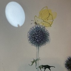 VTG Watercolor Print By Mads Stage Thistle & Butterfly 23×19 Wood Frame Danish