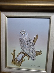 Vintage Snow Owl On Canvas Wildlife Painting Still Life C Carson 8×10 Serigraph