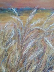 art 812 original Acrylic painting Landscape Wheat Field 18х14 in /45×35 cm natur