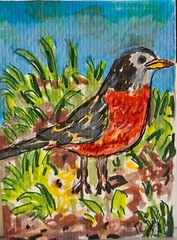 ACEO, Original Art Painting, Acrylic Pen, Regina DeVal,Red Breasted in Green Gra