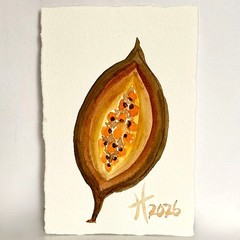 Pod Reveal Original Art Watercolor Painting 4x6in by Artist Tristina Dietz Elmes