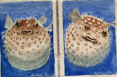 Original watercolor Pufferfish undersea Made to Order underwater fish painting