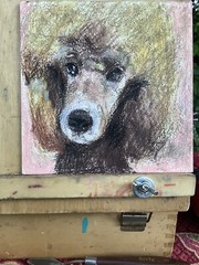 New York City Dog Poodle Oil Pastel Portrait Impressionist Art 6”x6”