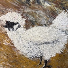 Original Painting Of Silkie Chicken 12”x 12” Acrylic Whimsical Art Textured