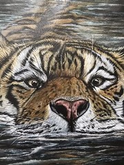 Tiger Painting on 12″ round canvas – repurposed canvas – please read description