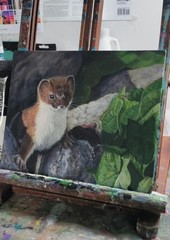 Original Painting Realistic Art 10 x 8 Weasel Canvas Board