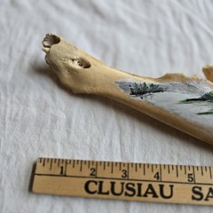 Hand Painted Horse Jawbone Art – Common Loons on Lake Scene Signed Cordova 5/13