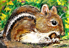 ORIGINAL ACEO Painting CHIPMUNK Spring Flower Animal Nature Squirrel ATC ART