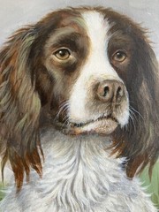 Vintage Oil Painting British Portrait of Faithful SPRINGER SPANIEL DOG Beautiful