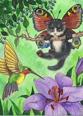 PRINT OF ACEO PAINTING RYTA ANGEL TUXEDO CAT RAINBOW HUMMINGBIRD BUTTERFLY Art