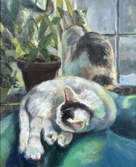 MQ923 Stretched Canvas Frame / Unframed Handmade Two Cats Oil Painting Art