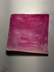 S Gallery – Paintings – Pink Paradise