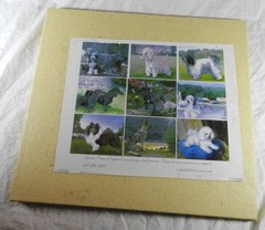 Album of artwork by Artist Louise Price – Mostly Animal paintings