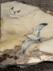 Hand Painted Seagulls on Stone Slab Signed by Artist Ruth Kirk