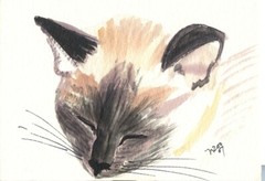 ACEO Siamese Cat napping2 mini art print from Original Watercolor painting