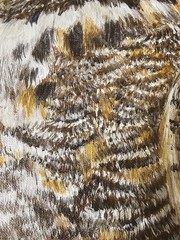 Vicki Sawyer Original Oil Painting Noel Great Horned Owl Cactus Bird Signed 12×9