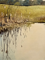 Watercolor & Pastel The Other Side Standing Water Series Signed LR C Odya Smith