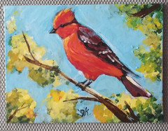 Bird Perched on a Branch Vermillion Flycatcher Original Acrylic Painting