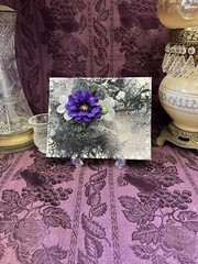 Hand painted Paint Pour 8 X 10 Black White Purple Flowers Wall Hanging Art