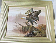 M.P. Elliott Oil Painting – Bald Eagle – 13 X 12