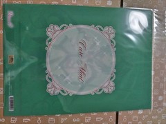 Yes PreCure 5 Go Go Cure Mint Clear File A4 Unused Japan Character Gift