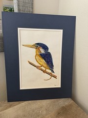 Original Bird Painting Drawing Wall Art Blue Yellow Birds Kingfisher